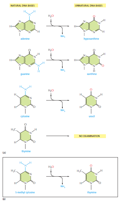 Figure 5-43.png